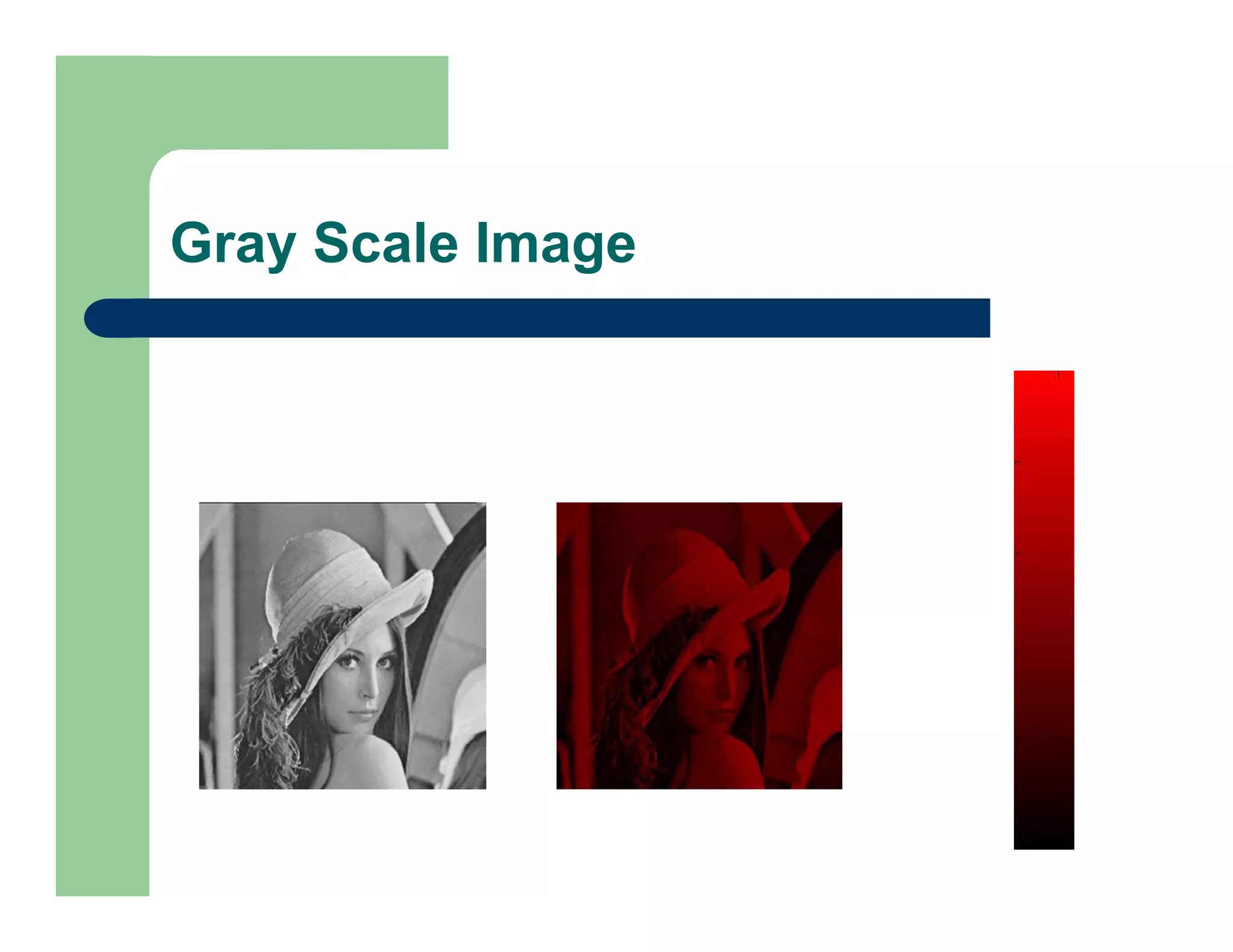 Gray Scale Image
 
