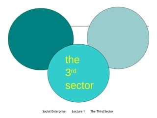 the 3 rd   sector 