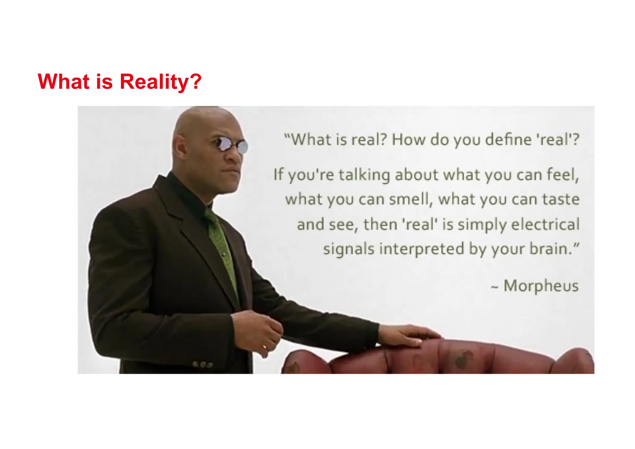 What is Reality?
 