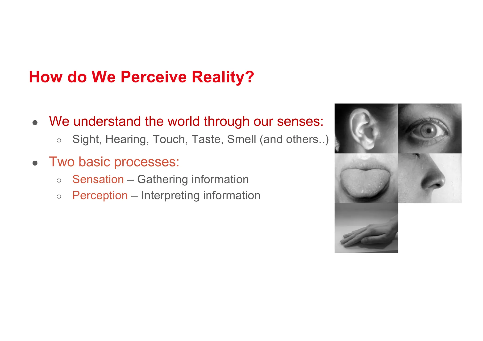 How do We Perceive Reality?
● We understand the world through our senses:
○ Sight, Hearing, Touch, Taste, Smell (and others..)
● Two basic processes:
○ Sensation – Gathering information
○ Perception – Interpreting information
 