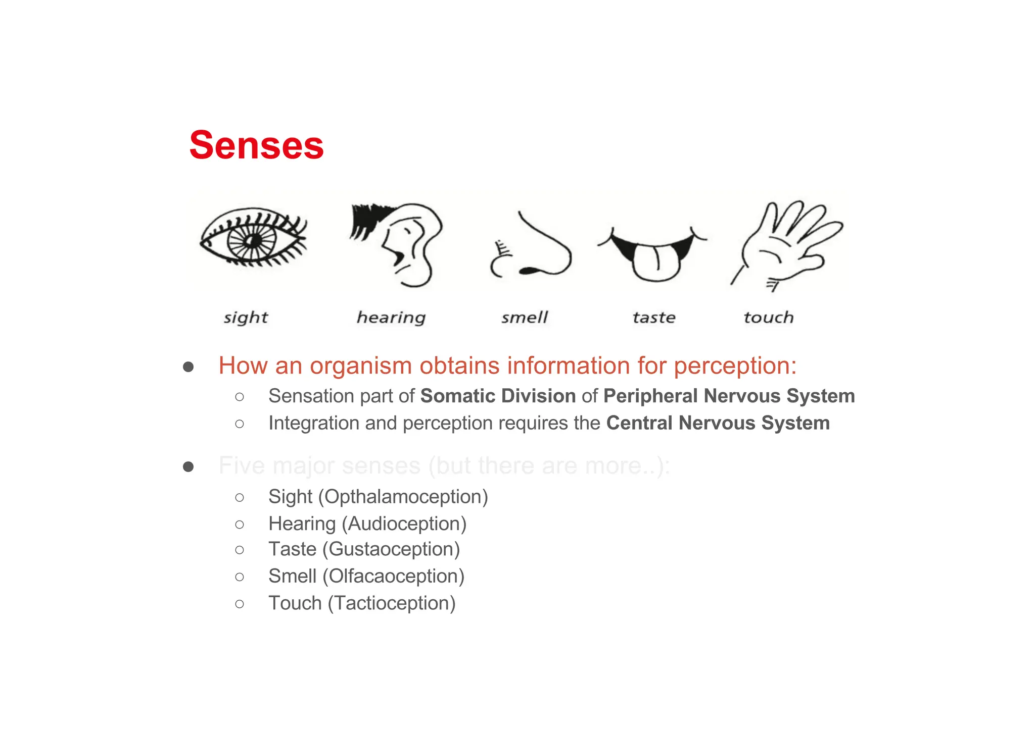 Senses
● How an organism obtains information for perception:
○ Sensation part of Somatic Division of Peripheral Nervous System
○ Integration and perception requires the Central Nervous System
● Five major senses (but there are more..):
○ Sight (Opthalamoception)
○ Hearing (Audioception)
○ Taste (Gustaoception)
○ Smell (Olfacaoception)
○ Touch (Tactioception)
 