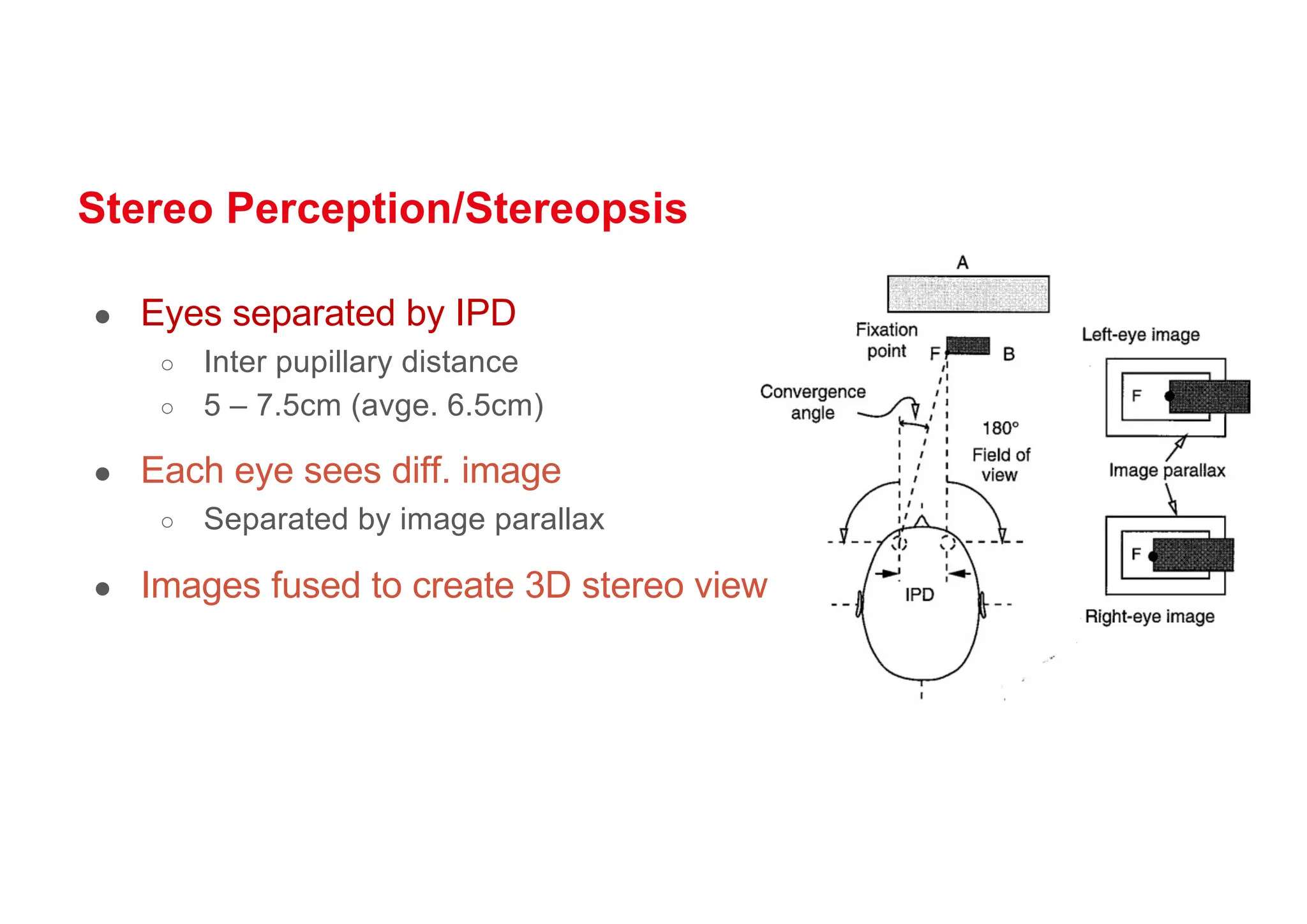 Stereo Perception/Stereopsis
● Eyes separated by IPD
○ Inter pupillary distance
○ 5 – 7.5cm (avge. 6.5cm)
● Each eye sees diff. image
○ Separated by image parallax
● Images fused to create 3D stereo view
 