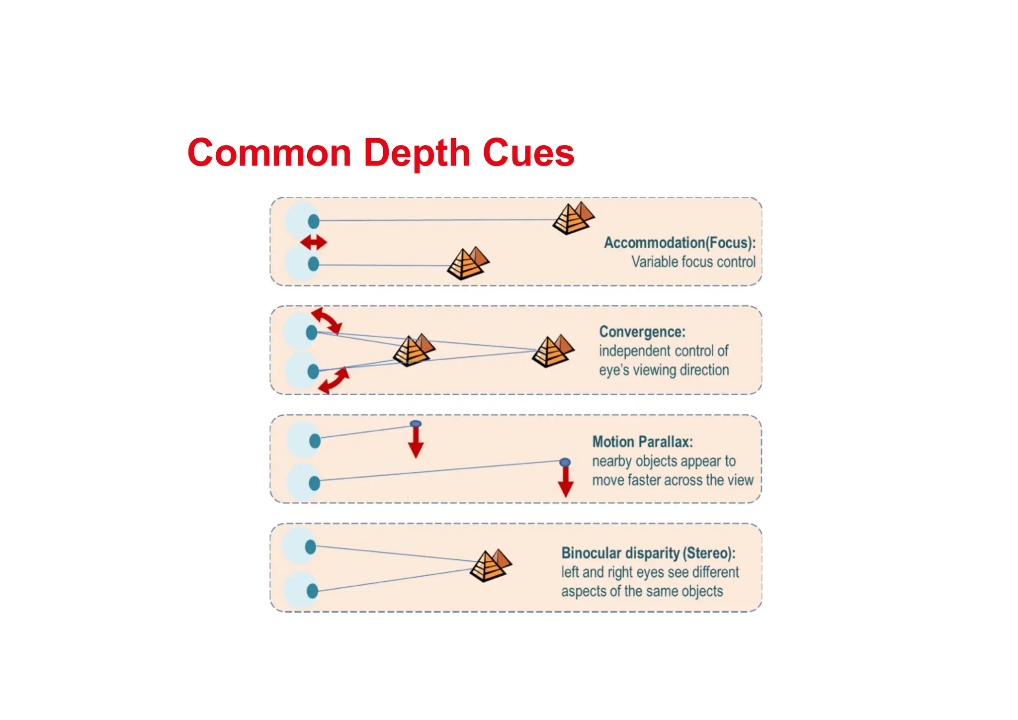 Common Depth Cues
 