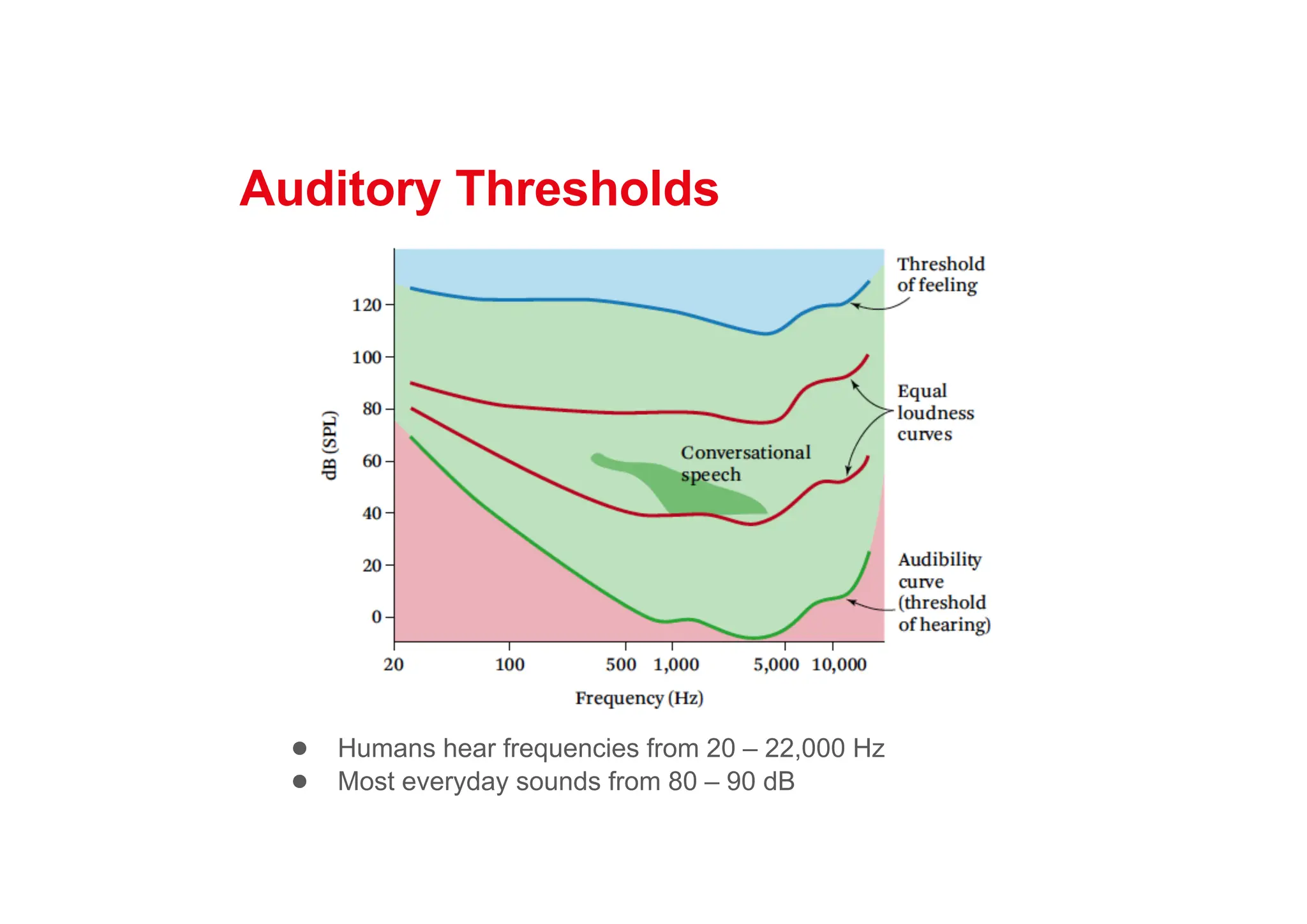 Auditory Thresholds
● Humans hear frequencies from 20 – 22,000 Hz
● Most everyday sounds from 80 – 90 dB
 