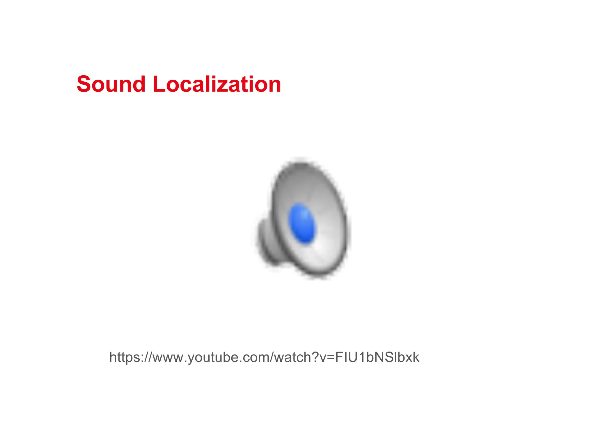 Sound Localization
https://www.youtube.com/watch?v=FIU1bNSlbxk
 