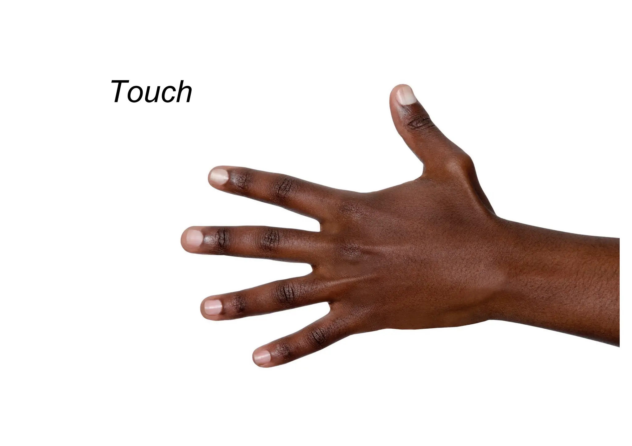 Touch
 