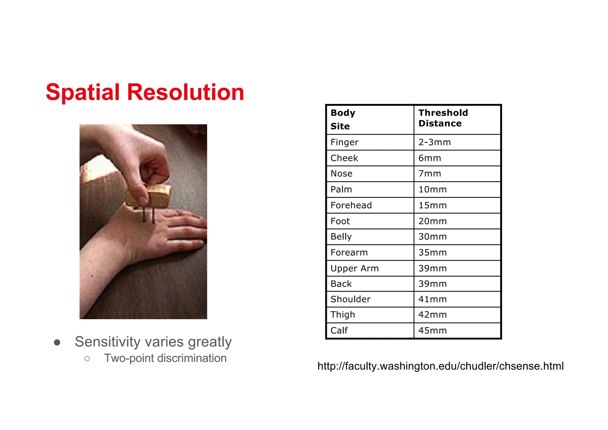 Spatial Resolution
● Sensitivity varies greatly
○ Two-point discrimination
Body
Site
Threshold
Distance
Finger 2-3mm
Cheek 6mm
Nose 7mm
Palm 10mm
Forehead 15mm
Foot 20mm
Belly 30mm
Forearm 35mm
Upper Arm 39mm
Back 39mm
Shoulder 41mm
Thigh 42mm
Calf 45mm
http://faculty.washington.edu/chudler/chsense.html
 