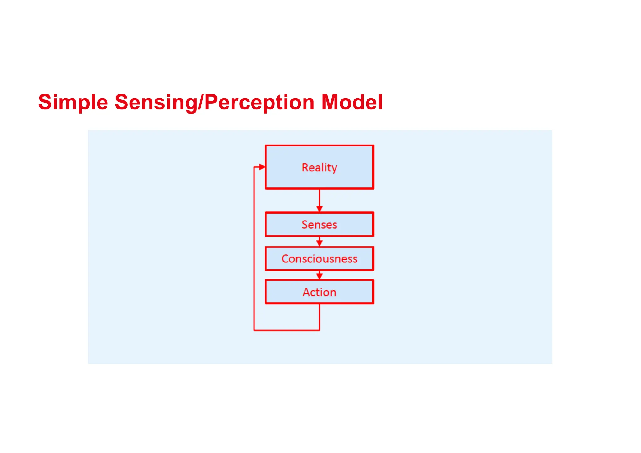 Simple Sensing/Perception Model
 