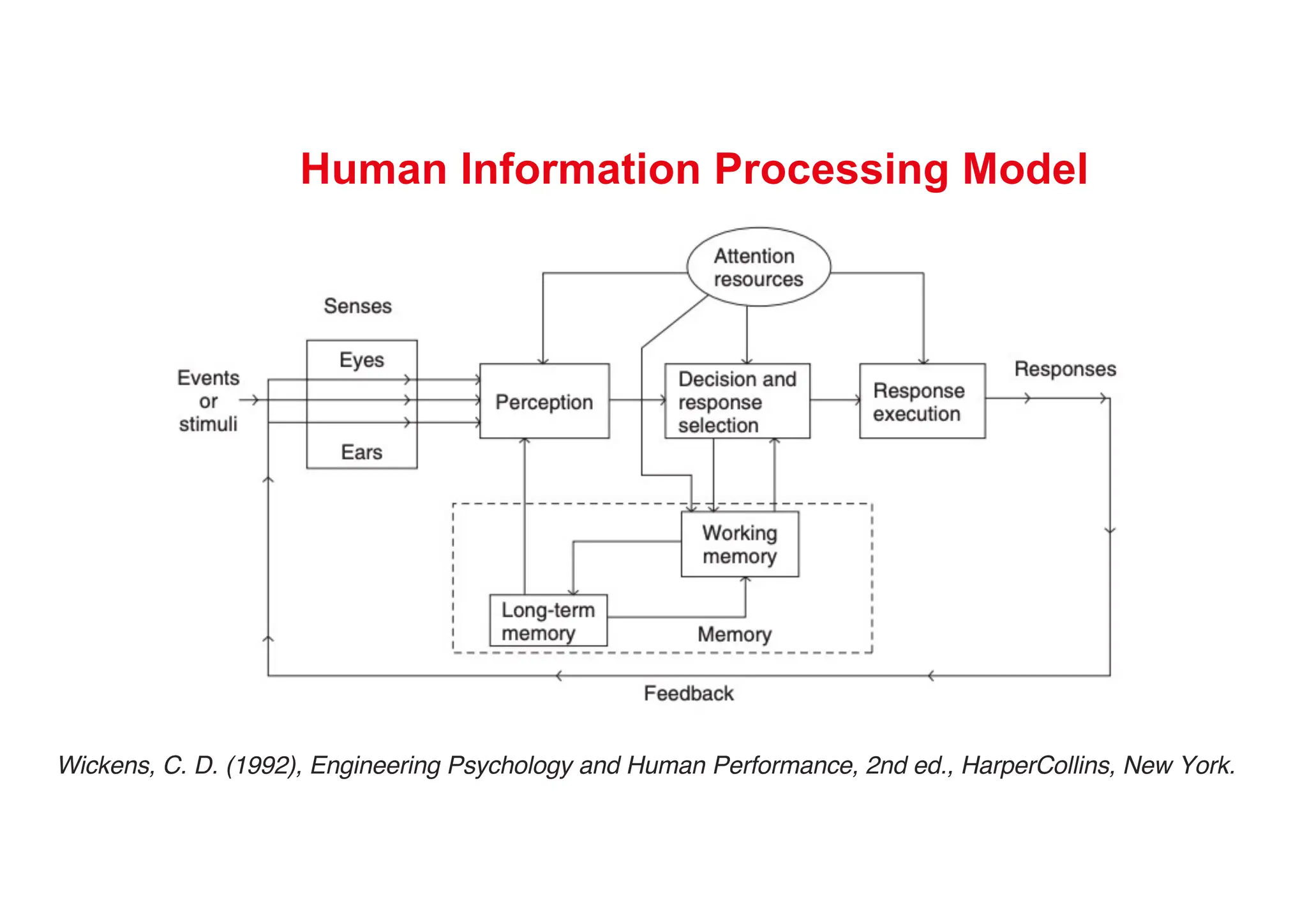 Human Information Processing Model
Wickens, C. D. (1992), Engineering Psychology and Human Performance, 2nd ed., HarperCollins, New York.
 