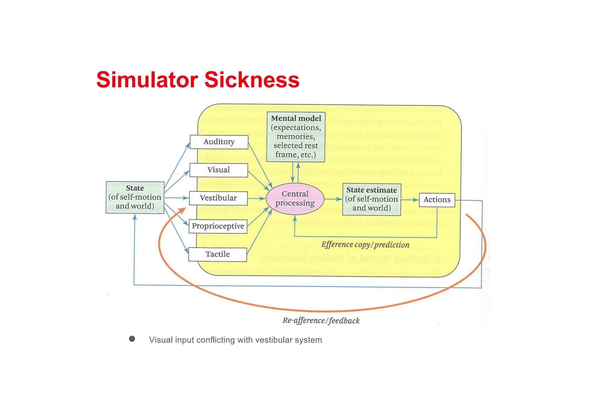 Simulator Sickness
● Visual input conflicting with vestibular system
 