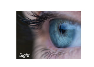 Sight
 