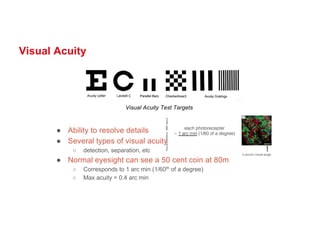 Visual Acuity
Visual Acuity Test Targets
● Ability to resolve details
● Several types of visual acuity
○ detection, separation, etc
● Normal eyesight can see a 50 cent coin at 80m
○ Corresponds to 1 arc min (1/60th of a degree)
○ Max acuity = 0.4 arc min
 
