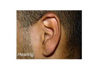 Hearing
 