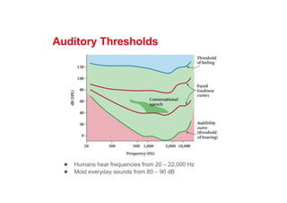 Auditory Thresholds
● Humans hear frequencies from 20 – 22,000 Hz
● Most everyday sounds from 80 – 90 dB
 