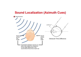Sound Localization (Azimuth Cues)
Interaural Time Difference
 