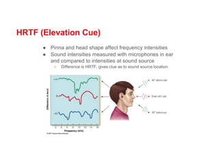 HRTF (Elevation Cue)
● Pinna and head shape affect frequency intensities
● Sound intensities measured with microphones in ear
and compared to intensities at sound source
○ Difference is HRTF, gives clue as to sound source location
 