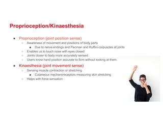 Proprioception/Kinaesthesia
● Proprioception (joint position sense)
○ Awareness of movement and positions of body parts
■ Due to nerve endings and Pacinian and Ruffini corpuscles at joints
○ Enables us to touch nose with eyes closed
○ Joints closer to body more accurately sensed
○ Users know hand position accurate to 8cm without looking at them
● Kinaesthesia (joint movement sense)
○ Sensing muscle contraction or stretching
■ Cutaneous mechanoreceptors measuring skin stretching
○ Helps with force sensation
 