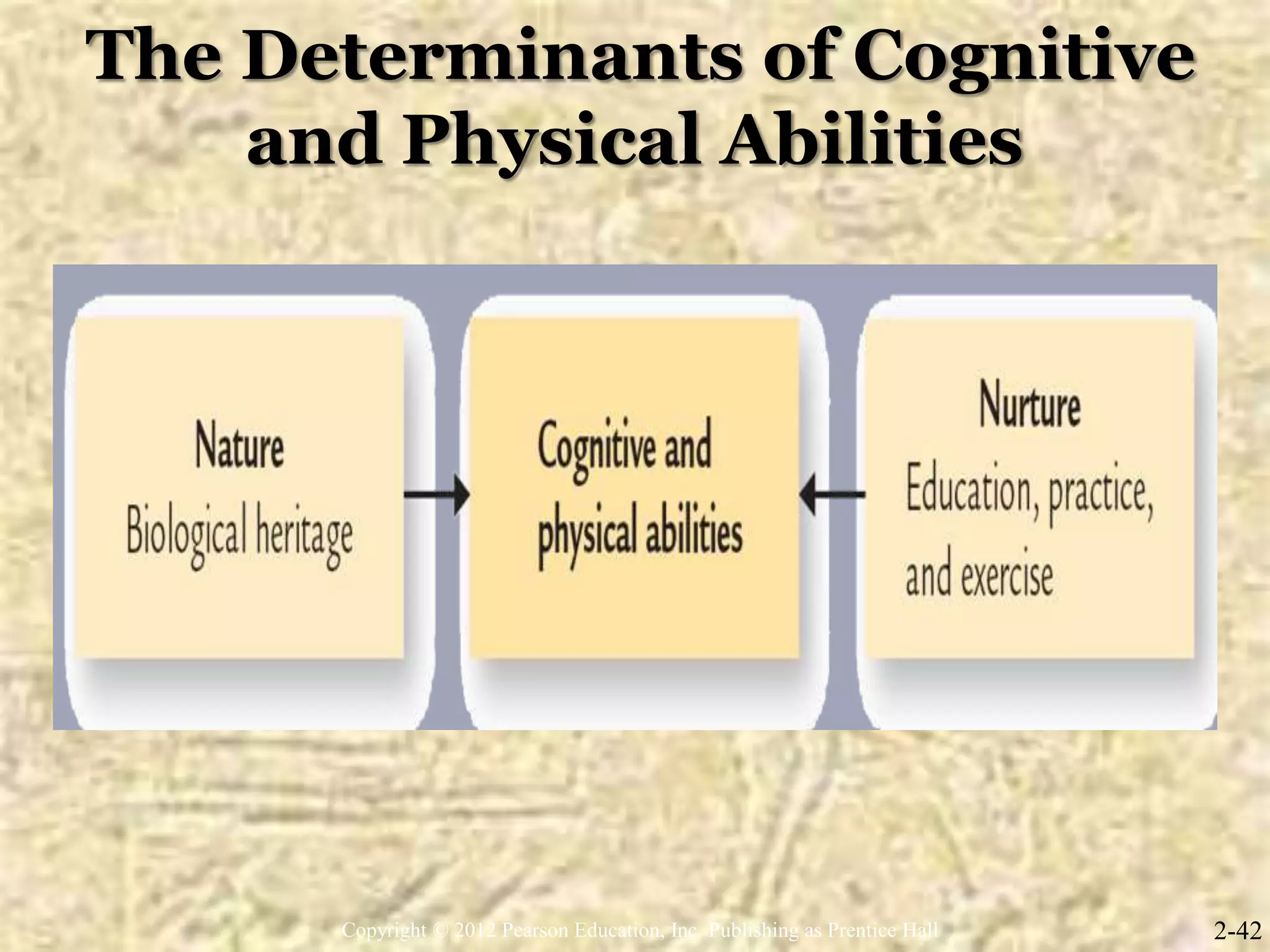 The Determinants of Cognitive
and Physical Abilities
2-42Copyright © 2012 Pearson Education, Inc. Publishing as Prentice Hall
 