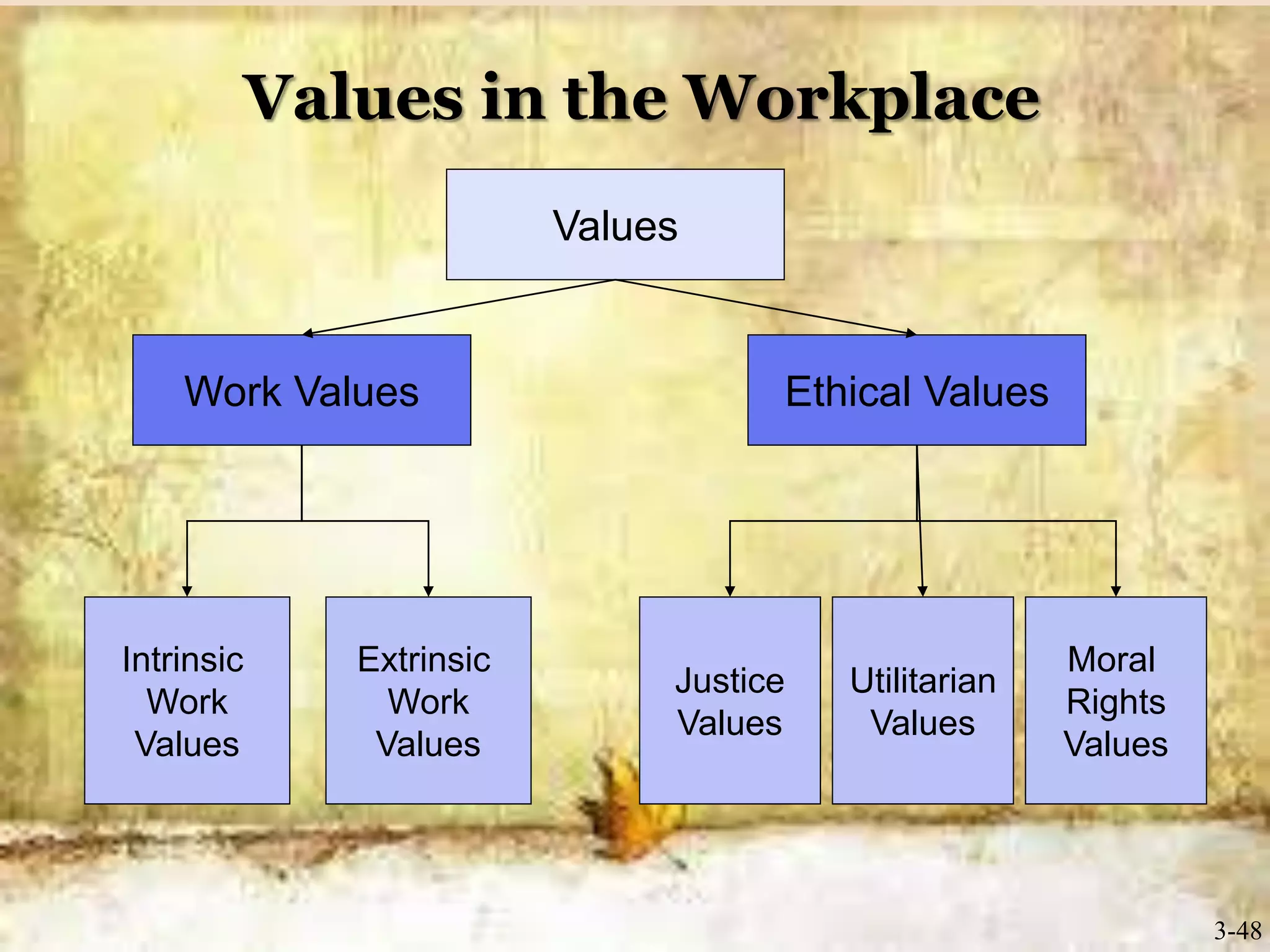 Values in the Workplace
3-48
Values
Work Values Ethical Values
Intrinsic
Work
Values
Extrinsic
Work
Values
Justice
Values
Utilitarian
Values
Moral
Rights
Values
 