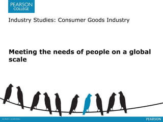 Industry Studies: Consumer Goods Industry 
Meeting the needs of people on a global 
scale 
 