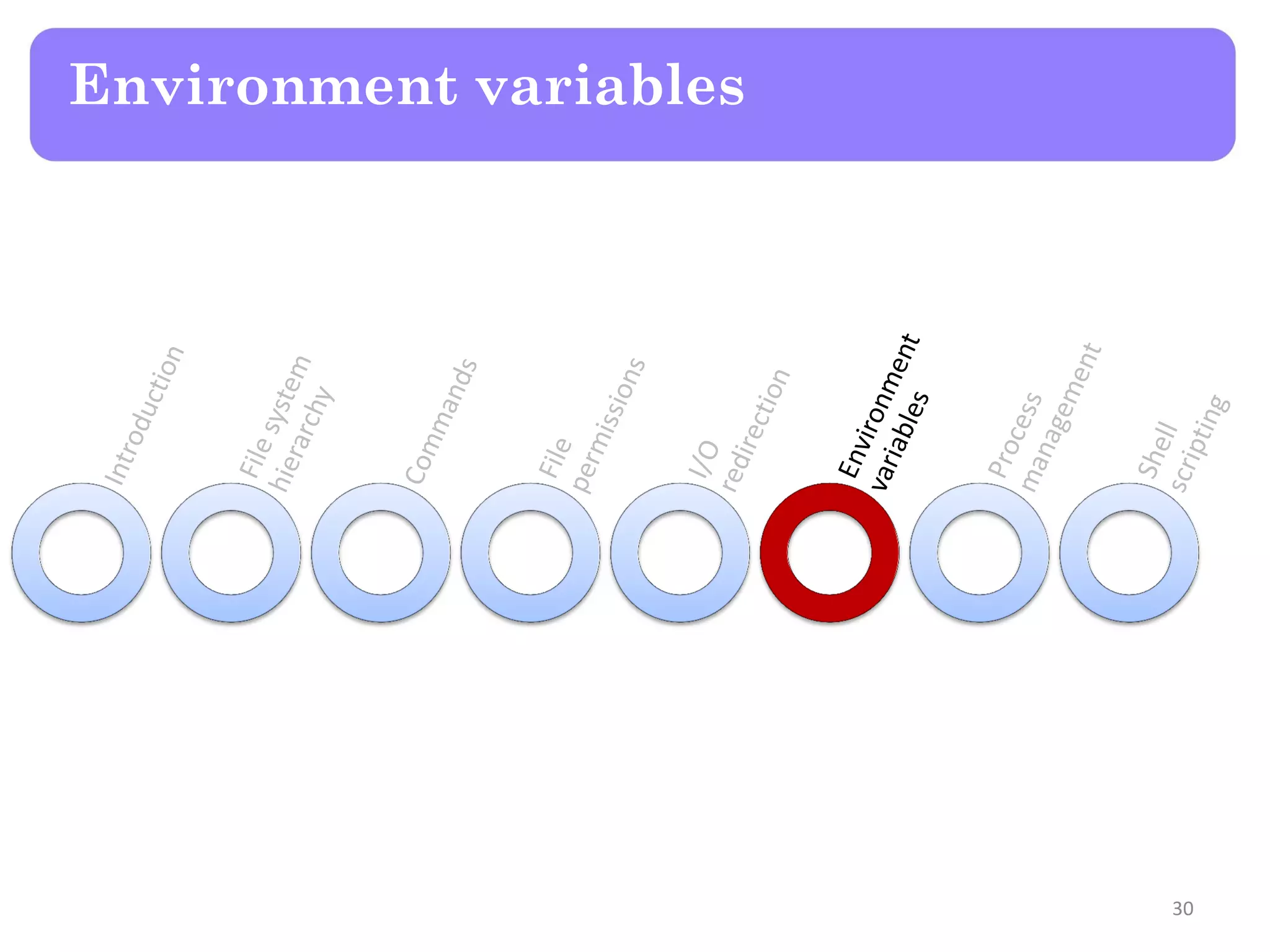 Environment variables 30 