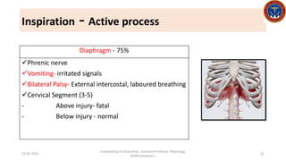lecture 2/2023-Respiratory Physiology - Mechanics of respiration.pdf 