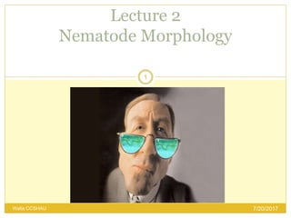 Lecture 2
Nematode Morphology
1
7/20/2017Walia CCSHAU
 