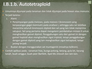  Umumnya dijumpai pada tanaman dan tidak dijumpai pada hewan atau manusia.
 Terjadi karena :
1. Alami
 Penyimpangan pada meioses, pada meiosis I (kromosom yang
berpasangan gagal memisah) pada anafase I, sehingga satu sel telofase
menerima seluruh kromosom diploid dan sel yang lain tidak menerima
satupun. Sel yang pertama dapat mengalami pembelahan mioses II untuk
menghasilkan gamet diploid. Penggabungan satu dari gamet ini dengan
gamet haploid akan menghasilkan zigot triploid, tetapi penggabungan
dengan gamet diploid yang lain menghasilkan zigot tetraploid, tetapi
jarang terjadi.
2. Buatan dengan menggunakan zat muntagenik (misalnya kolkisin).
 Contoh aplikasi pada : tanaman hias, bunga potong, ketang, gula bit, kacang
tanah, buah amggur, buah peer Bartlett, Apel Mc.Intossh dan lain-lain.
 