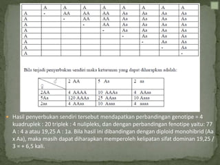  Hasil penyerbukan sendiri tersebut mendapatkan perbandingan genotipe = 4
kuadruplek : 20 triplek : 4 nulipleks, dan dengan perbandingan fenotipe yaitu: 77
A : 4 a atau 19,25 A : 1a. Bila hasil ini dibandingan dengan diploid monohibrid (Aa
x Aa), maka masih dapat diharapkan memperoleh kelipatan sifat dominan 19,25 /
3 = + 6,5 kali.
 