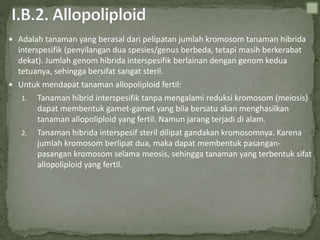  Adalah tanaman yang berasal dari pelipatan jumlah kromosom tanaman hibrida
interspesifik (penyilangan dua spesies/genus berbeda, tetapi masih berkerabat
dekat). Jumlah genom hibrida interspesifik berlainan dengan genom kedua
tetuanya, sehingga bersifat sangat steril.
 Untuk mendapat tanaman allopoliploid fertil:
1. Tanaman hibrid interspesifik tanpa mengalami reduksi kromosom (meiosis)
dapat membentuk gamet-gamet yang bila bersatu akan menghasilkan
tanaman allopoliploid yang fertil. Namun jarang terjadi di alam.
2. Tanaman hibrida interspesif steril dilipat gandakan kromosomnya. Karena
jumlah kromosom berlipat dua, maka dapat membentuk pasangan-
pasangan kromosom selama meosis, sehingga tanaman yang terbentuk sifat
allopoliploid yang fertil.
 