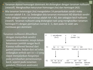  Tanaman diploid homozigot dominant AA disilangkan dengan tanaman nullisomi
(resessif). Menghasilkan keturunan homosigot (Aa) dan hemisigot (AO).
 Bila tanaman heterosigot (Aa) mengadakan 14 penyerbukan sendiri maka
turunan adalah 3 A : 1a. Sedangkan bila tanaman monosomi AO diserbuk sendiri
maka sebagain besar turunannya adalah AA + AO, dan sebagian kecil nullisomi
(resesif). Tanaman nullisomi yang disilangkan tadi yang menghasilkan tanaman
hemisigot F1 dengan pemisahan normal 3 : 1, dam pada F2 salah satu
membawa gen dominant
Tanaman nullisomi dihasilkan
dengan menyerbuk sendiri
tanaman monosomi, tetapi dalam
keturunan jumlah sangat kecil.
Karena nullisomi berasal dari
gamet jantan, bukan dari sel telur,
sedangkan serbuk sari (n + 1) yang
dapat menjalankan fungsinya
pada pembuahan persentasenya
kecil, seperti pada tanaman
gandum (Triticum aestivum)
 