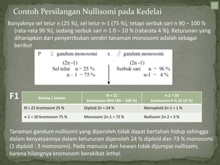 Contoh Persilangan Nullisomi pada Kedelai
Banyaknya sel telur n (25 %), sel telur n-1 (75 %), tetapi serbuk sari n 90 – 100 %
(rata-rata 96 %), sedang serbuk sari n-1 0 – 10 % (ratarata 4 %). Keturunan yang
diharapkan dari penyerrbukan sendiri tanaman monosomi adalah sebagai
berikut
Betina / Jantan
N = 21
kromosom 96% (90 – 100 %)
n-1 = 20
kromosom 4 % (0-10 %)
N = 21 kromosom 25 % Diploid 2n = 24 % Monoploid 2n-1 = 1 %
n-1 = 20 kromosom 75 % Monosomi 2n-1 = 72 % Nullisomi 2n-2 = 3 %
F1
Tanaman gandum nullisomi yang diperoleh tidak dapat bertahan hidup sehingga
dalam kenyataannya dalam keturunan diperoleh 24 % diploid dan 73 % monosomi
(1 diploid : 3 monosomi). Pada manusia dan hewan tidak dijumpai nullisomi,
karena hilangnya kromosom berakibat lethal.
 