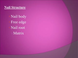 Nail Structure
Nail body
Free edge
Nail root
○Matrix
 