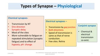 Synapse