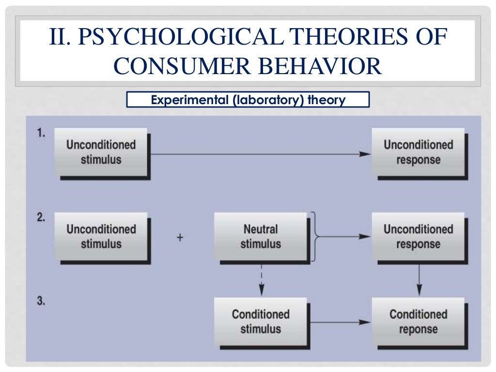 thesis about consumer behavior