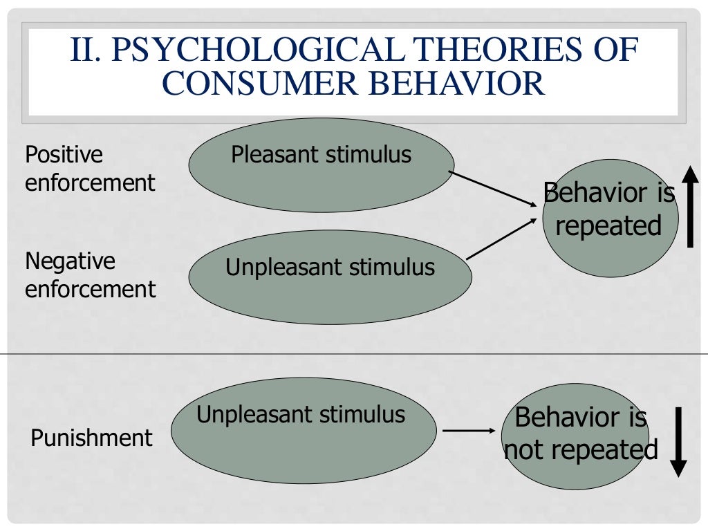 Lecture 2 theories and models of consumer behavior