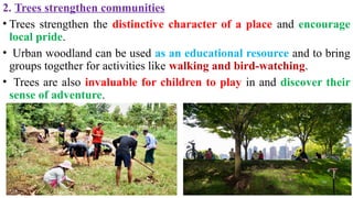 Lecture 2- Tree Selection and Improvement.pptx