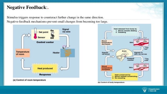 Lecture 2 Wind Energy Course block diagram negative feedback control system 