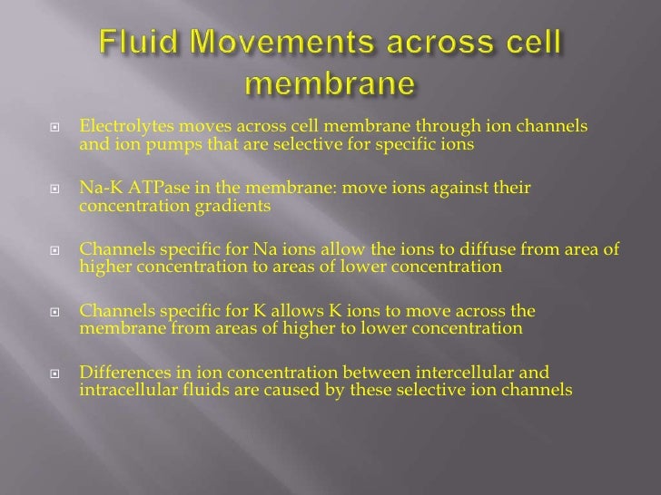 Electrolytes Enter The Body In The Food We Eat Electrolytes Enter The Body In The Food We Eat