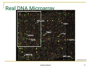 lecture_20.pdf about DNA microarray to medical students | PDF
