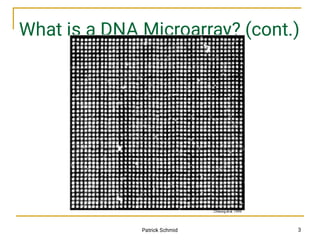 lecture_20.pdf about DNA microarray to medical students | PDF