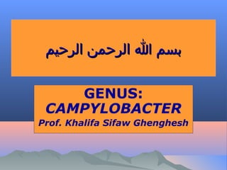 ‫بسم ا الرحمن الرحيم‬
GENUS:
CAMPYLOBACTER
Prof. Khalifa Sifaw Ghenghesh

 