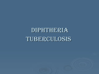 Diphtheria Tuberculosis   
