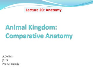 A.Collins
JSHS
Pre-AP Biology
Lecture 20: Anatomy
 
