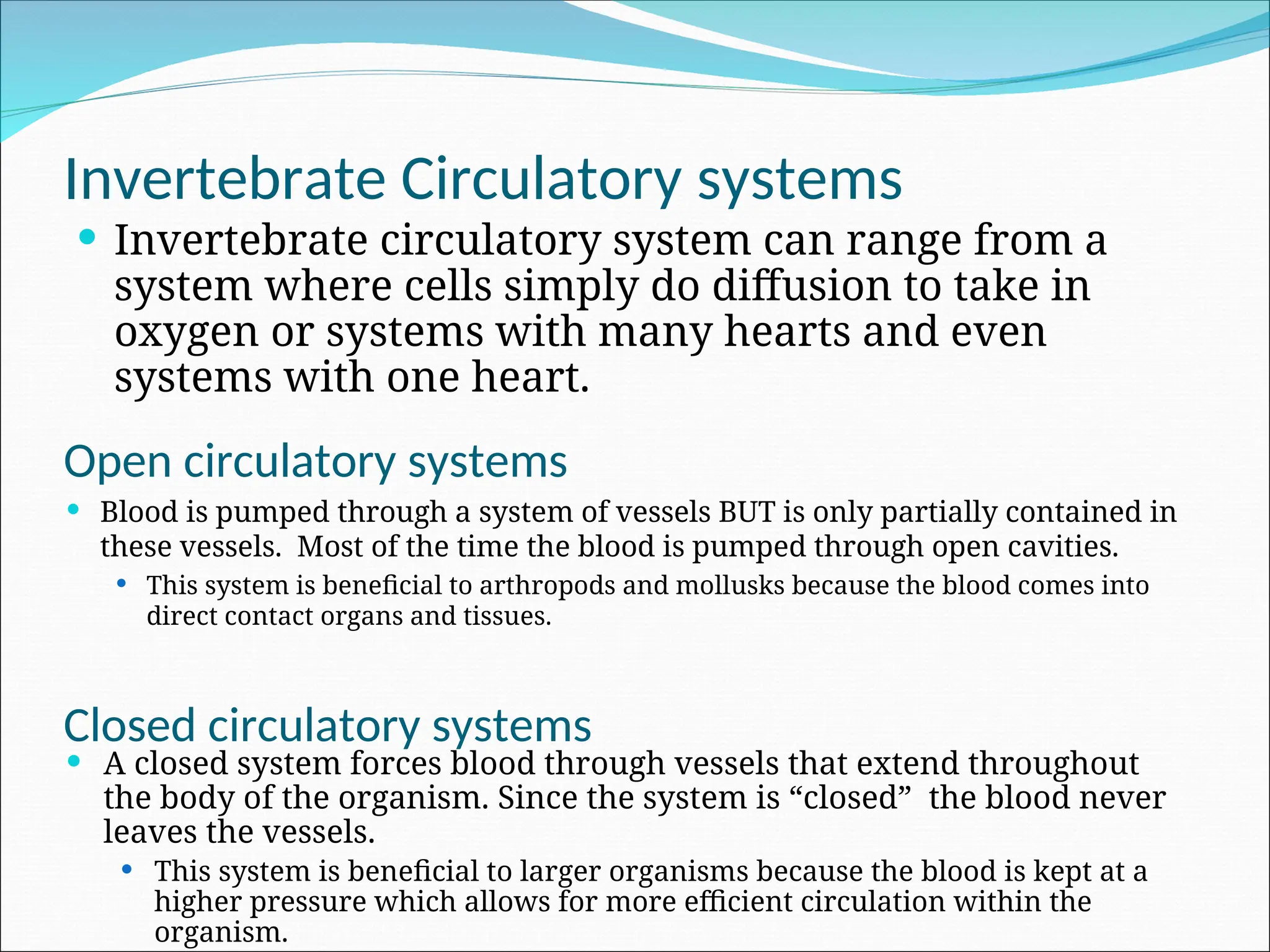 Open circulatory systems
 Blood is pumped through a system of vessels BUT is only partially contained in
these vessels. Most of the time the blood is pumped through open cavities.
 This system is beneficial to arthropods and mollusks because the blood comes into
direct contact organs and tissues.
 A closed system forces blood through vessels that extend throughout
the body of the organism. Since the system is “closed” the blood never
leaves the vessels.
 This system is beneficial to larger organisms because the blood is kept at a
higher pressure which allows for more efficient circulation within the
organism.
Closed circulatory systems
 Invertebrate circulatory system can range from a
system where cells simply do diffusion to take in
oxygen or systems with many hearts and even
systems with one heart.
Invertebrate Circulatory systems
 