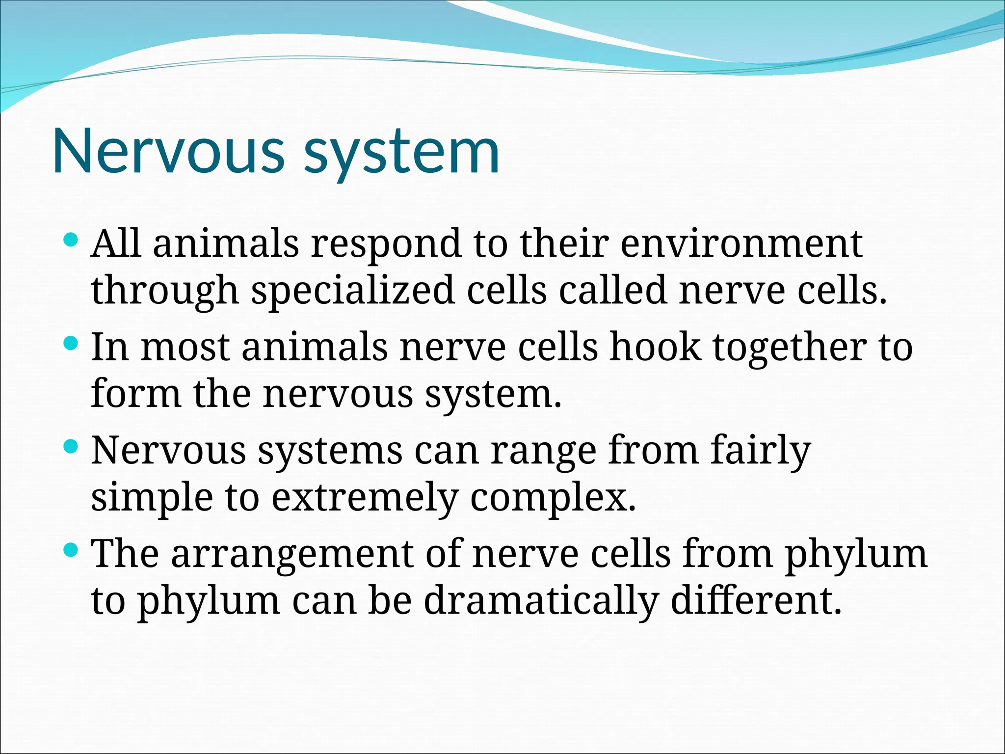 Nervous system
 All animals respond to their environment
through specialized cells called nerve cells.
 In most animals nerve cells hook together to
form the nervous system.
 Nervous systems can range from fairly
simple to extremely complex.
 The arrangement of nerve cells from phylum
to phylum can be dramatically different.
 