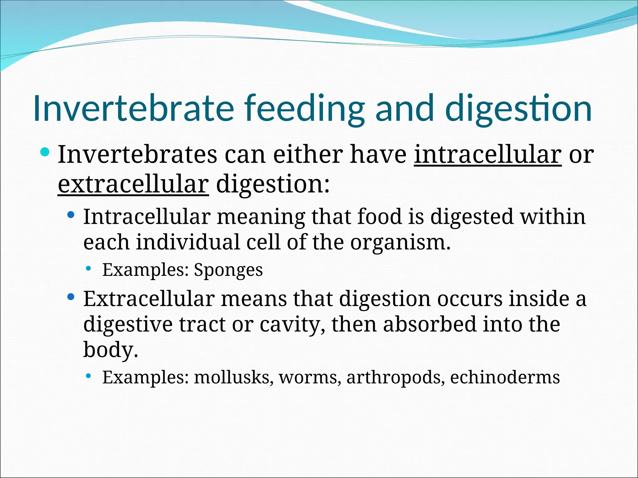 Invertebrate feeding and digestion
 Invertebrates can either have intracellular or
extracellular digestion:
 Intracellular meaning that food is digested within
each individual cell of the organism.
 Examples: Sponges
 Extracellular means that digestion occurs inside a
digestive tract or cavity, then absorbed into the
body.
 Examples: mollusks, worms, arthropods, echinoderms
 