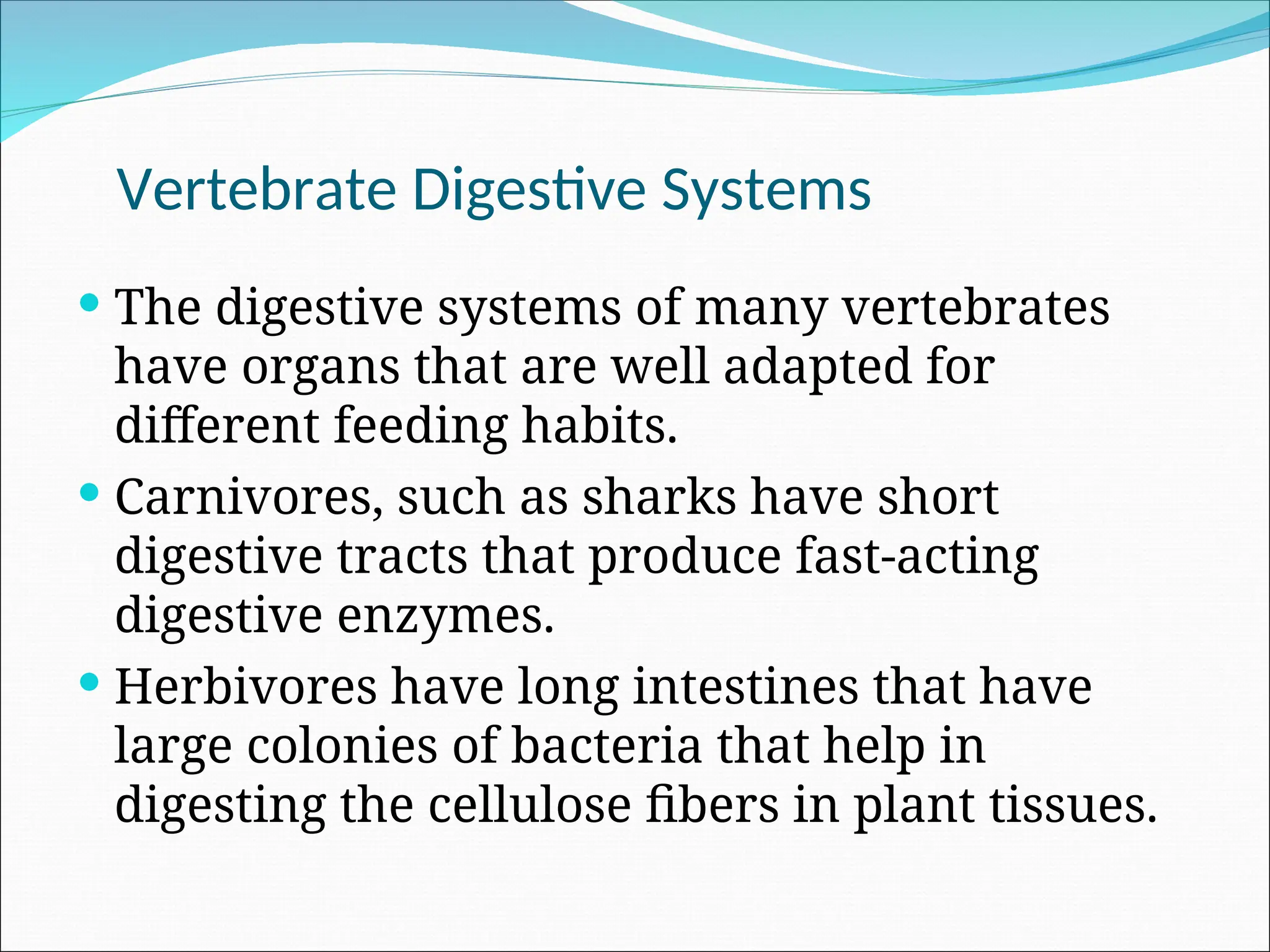  The digestive systems of many vertebrates
have organs that are well adapted for
different feeding habits.
 Carnivores, such as sharks have short
digestive tracts that produce fast-acting
digestive enzymes.
 Herbivores have long intestines that have
large colonies of bacteria that help in
digesting the cellulose fibers in plant tissues.
Vertebrate Digestive Systems
 