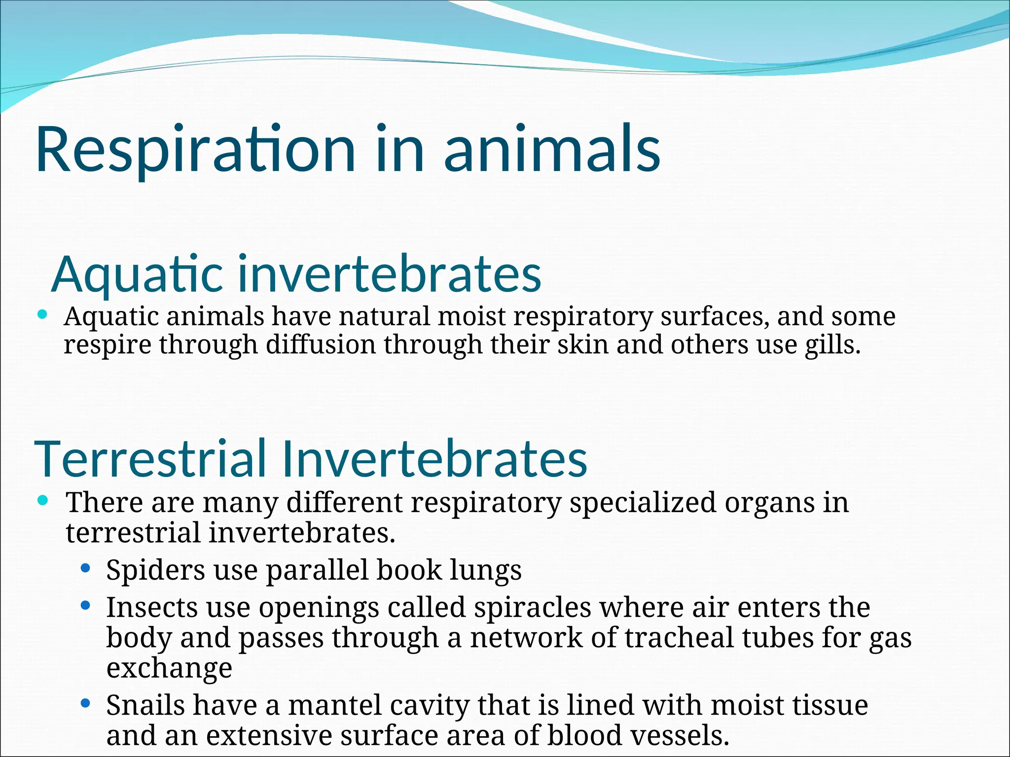 Aquatic invertebrates
 Aquatic animals have natural moist respiratory surfaces, and some
respire through diffusion through their skin and others use gills.
 There are many different respiratory specialized organs in
terrestrial invertebrates.
 Spiders use parallel book lungs
 Insects use openings called spiracles where air enters the
body and passes through a network of tracheal tubes for gas
exchange
 Snails have a mantel cavity that is lined with moist tissue
and an extensive surface area of blood vessels.
Terrestrial Invertebrates
Respiration in animals
 