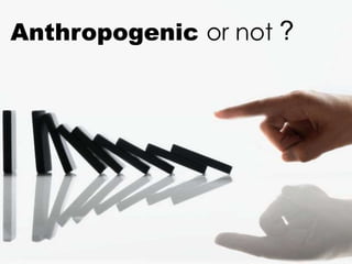 Anthropogenic or not ?
 
